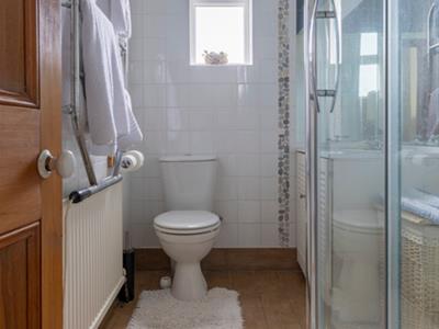 Picture 41